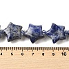 Natural Sodalite Beads Strands G-U023-C01-04-5