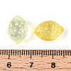 Transparent Acrylic Charms OACR-N146-03-3