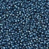 MIYUKI Delica Beads SEED-J020-DB2384-3