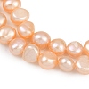 Natural Cultured Freshwater Pearl Beads Strands PEAR-P064-20B-08C-4