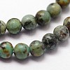 Natural African Turquoise(Jasper) Beads Strands X-G-N0188-02-3mm-3