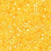 Glass Seed Beads SEED-S042-13A-03-3