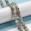 Natural Quartz Beads Strands G-A219-A06-02-4