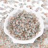 Frosted Glass Seed Beads SEED-N008-05H-2