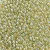 TOHO Round Seed Beads SEED-JPTR08-1848-4