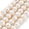 Natural Cultured Freshwater Pearl Beads Strands PEAR-C003-15B-2