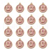 Golden Plated Alloy Enamel Charms ENAM-S118-07U-2