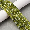 Natural Xiuyan Jade Beads Strands G-L624-H05-6x2mm-1
