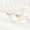 Leaf Brass Clear Cubic Zirconia Stud Earrings KK-D301-16G-1