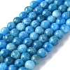 Natural Apatite Beads Strands G-I254-08H-1