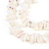 Natural Trochid Shell/Trochus Shell Beads Strands SSHEL-T017-29-3