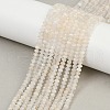 Natural White Moonstone Beads Strands G-Z058-B01-02A-5