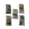 Natural Labradorite Pendants G-G063-01I-1