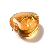 Transparent Resin Pendants RESI-F035-02C-3