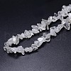 Natural Quartz Crystal Beads Strands G-O049-C-61-3
