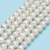 Natural Cultured Freshwater Pearl Beads Strands PEAR-F018-17E-01-2