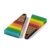 Pride Rainbow Theme Resin & Walnut Wood Pendants WOOD-K012-10C-2