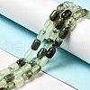 Natural Prehnite Beads Strands G-G980-24-2