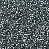 MIYUKI Delica Beads X-SEED-J020-DB0697-3