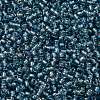 TOHO Round Seed Beads X-SEED-TR11-0275-2