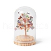 Natural Gemstone Chips Money Tree in Dome Glass Bell Jars with Wood Base Display Decorations DJEW-B007-04E-1