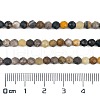 Natural Bumblebee Jasper Beads Strands G-L597-C03-02-4