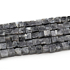 Natural Larvikite Beads Strands G-G002-A08-3