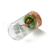 Natural Flower Amazonite Chips Money Tree in Dome Glass Bell Jars with Wood Base Display Decorations DJEW-K030-02E-2