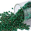 TOHO Round Seed Beads X-SEED-TR11-0036F-1