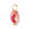 Electroplate Glass Pendants PALLOY-JF01541-03-2