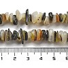 Natural Black Lip Shell Beads Strands BSHE-G038-04-5