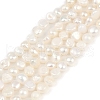 Natural Cultured Freshwater Pearl Beads Strands PEAR-P064-19D-09A-2