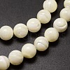 Shell Beads Strands SSHEL-E571-39-4mm-3