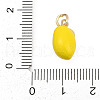 Brass with Enamel Charms KK-Q096-16A-G-3