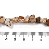Natural Picture Jasper Nuggets Beads Strands G-B125-A10-01-4