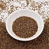MIYUKI Delica Beads SEED-X0054-DB2524-2