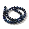 Natural Agate Beads Strands G-P516-A01-A09-2
