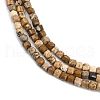 Natural Picture Jasper Beads Strands G-P457-B01-52-4