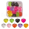 15Pcs Transparent Resin Pendants RESI-YW0001-45-1