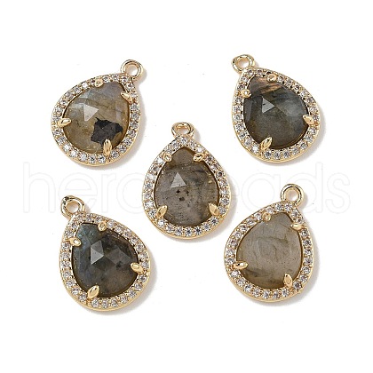 Natural Labradorite Faceted Teardrop Pendants G-U028-02G-06-1