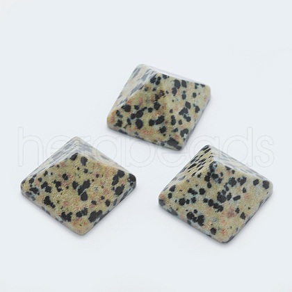 Natural Dalmatian Jasper Cabochons G-G759-Y07-1