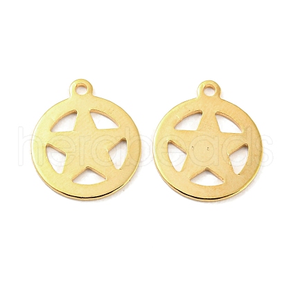 201 Stainless Steel Charms STAS-Z049-02G-1