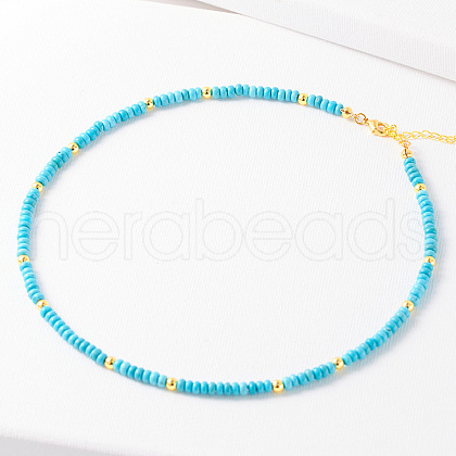 Simple Design Synthetic Turquoise Beaded Necklaces for Women JH7309-13-1