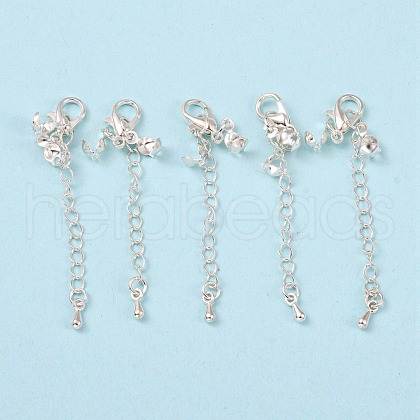 Silver FIND-JF00063-02-1