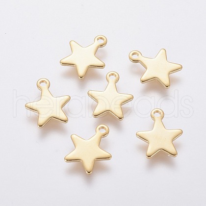 304 Stainless Steel Charms X-STAS-L234-069G-1