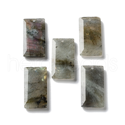 Natural Labradorite Pendants G-G063-01I-1