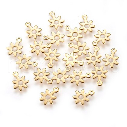 304 Stainless Steel Charms STAS-E447-16G-1