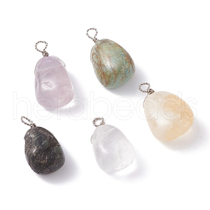 Natural Gemstone Pendants PALLOY-JF01160-1