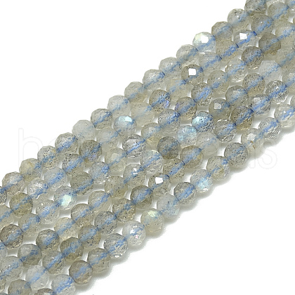 Natural Labradorite Beads Strands G-S300-23-3mm-1