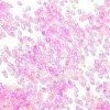 Transparent Colours Glass Seed Beads SEED-H003-01L-3